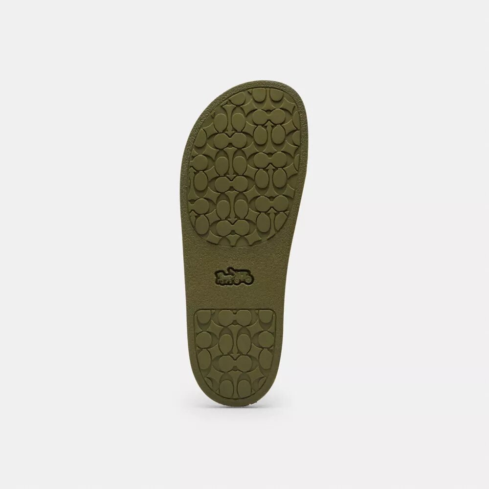 Udele Spor Terlikler, Signature Canvas